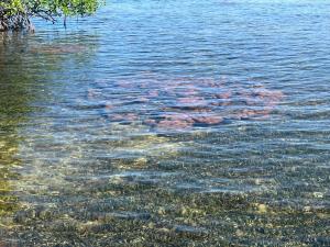 villa de los sueños