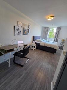 2-room apartment with balcony