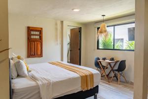 Xaman - Boutique Studios