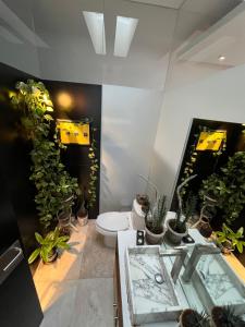 Casa Dodi Loft in Juriquilla Design oasis