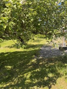 Cosy country house near city