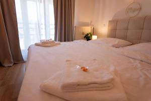 Charmantes City Apartment mit Domblick & Stellplatz