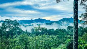 Arabica Homestay - Ubytování bez kategorie ve městě Somvārpet