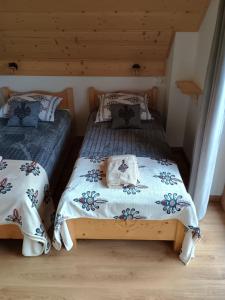 Domki na Jędrzejówkach - Janosik