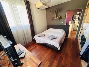 Appartements Grand Appartement ANTONY : photos des chambres