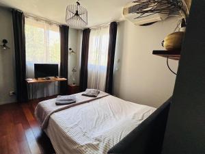 Appartements Grand Appartement ANTONY : photos des chambres