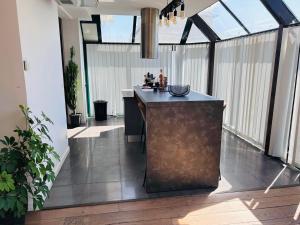 Appartements Grand Appartement ANTONY : photos des chambres