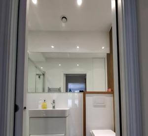 Elegant Garden Flat - Wimbledon