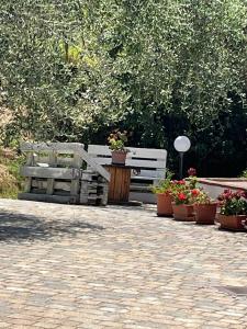 Rifugio tra gli olivi in campagna Toscana