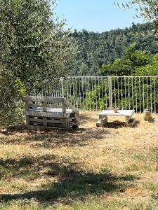 Rifugio tra gli olivi in campagna Toscana