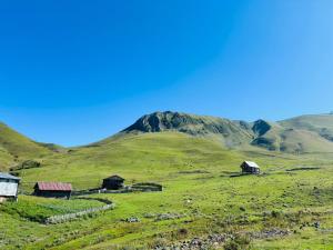 Chirukhi David Cottage