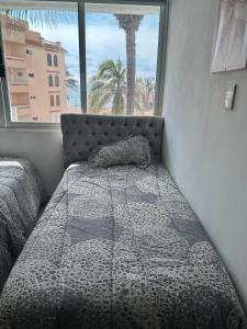 2 bdrm - Sleeps 8 -Ocean front -Ocean View