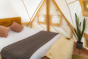 Glamping Ensueño en Omitlán Naturaleza y Confort