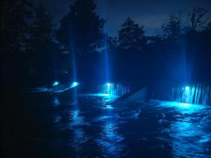 Art Room & Apartment