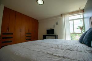 Departamento grande en Lomas San Luis