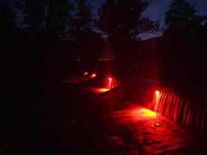 Art Room & Apartment