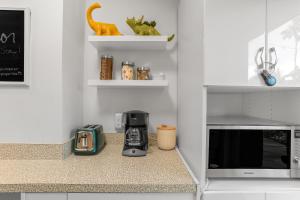 Bright & Harmonious Oasis