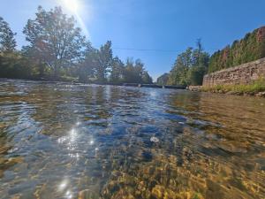 Art Room & Apartment