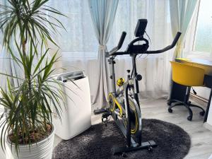 Apartament Benicarlo1