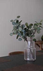 Brussels center spacious and central apartment