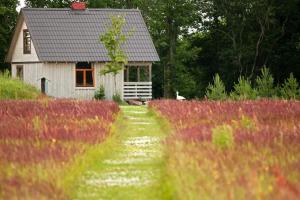 Viesu māja "Ozoliņi"