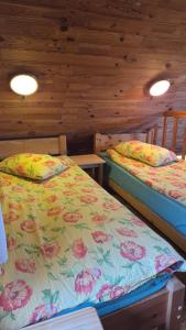 Viesu māja "Ozoliņi"