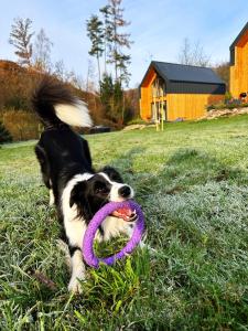 Hill & Chill Kudowa Zdrój - nowoczesne stodoły ze strefą SPA, balia, sauna