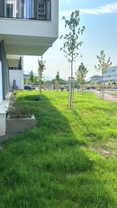 Brattis Apartment 2 Near Tirana Center And Mother Teresa International Airport