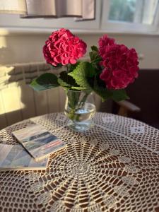 Gospodarstwo Agroturystyczne u Wojciecha