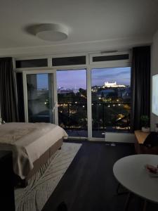 Sleep with the view
