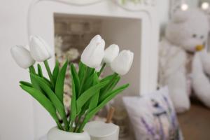 Апартаменти Studio Amur Creative