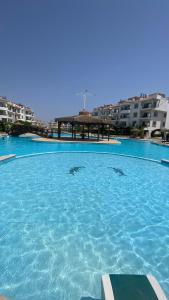 Sharm Hills Luxury Pool View