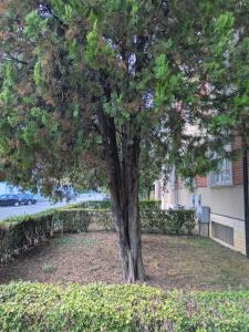 Indipendent Studio Apartment near metro - Monolocale indipendente vicinissimo metro