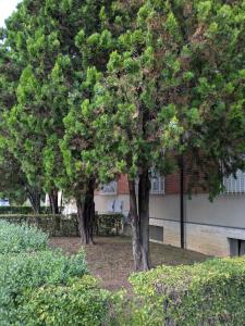 Indipendent Studio Apartment near metro - Monolocale indipendente vicinissimo metro