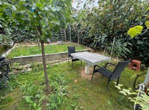 Guest house pogradec 2