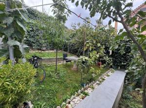 Guest house pogradec 2