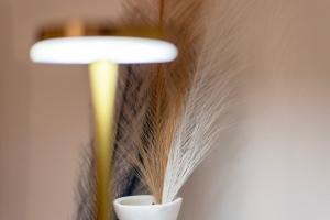 Salerno Amalfi Coast