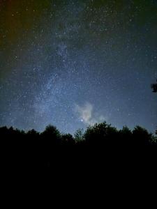 Cottage With Sauna, Pub & Terrace