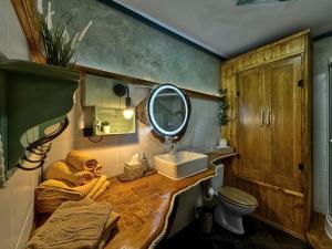 Cottage With Sauna, Pub & Terrace