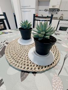 Departamento Centrico San Jose II