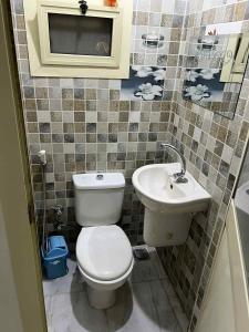 apartment in alexandria almontazah