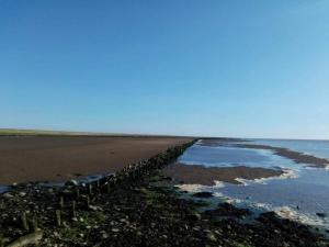 6 person holiday home in Højer