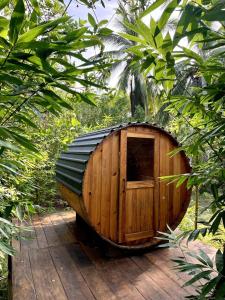 Glass Treehouse, Sauna, Ice Bath, Yoga in Saladita, 50m from Surf