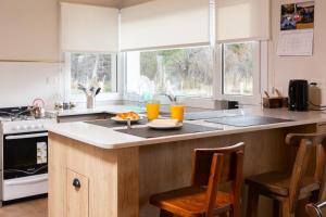 CASA DE CAMPO y BOSQUE