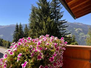 Chalet Platzhirsch Zillertal Panoramablick Sauna Ski out