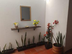 Hospedaje Villa Claudia - Centro Histórico