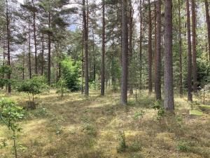 4 person holiday home in DEGEBERGA