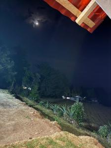 Cabaña La escondida