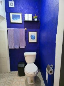 Departamento Completo En Centro de Monterrey