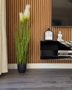 Central Modern 2 Bedroom - Bergrivier Hideaway